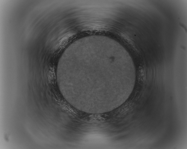 X0000100860918200807111249