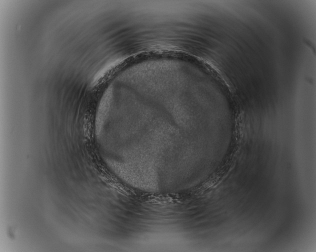 X0000100860919200807111249