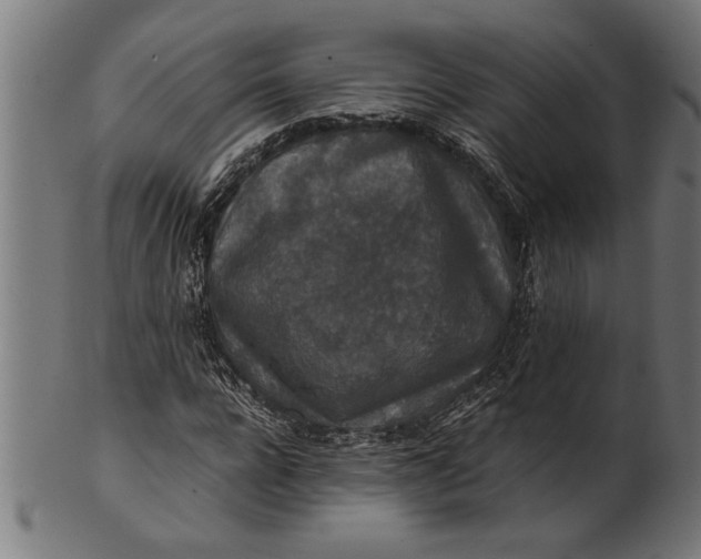 X0000100860920200807111249