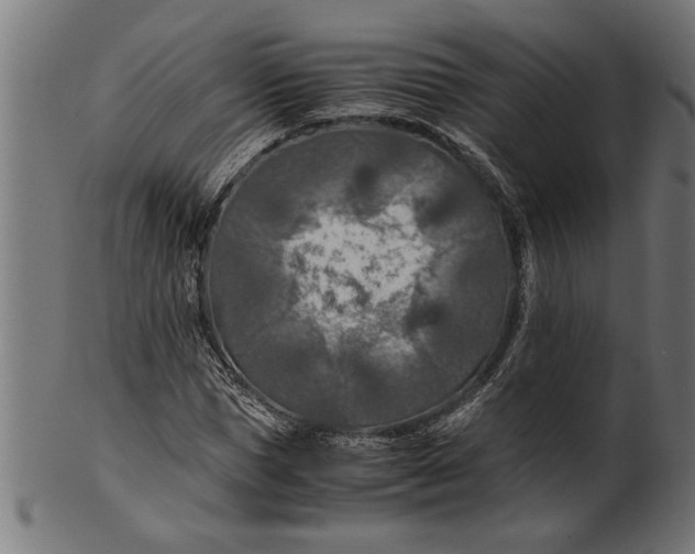 X0000100860921200807111249