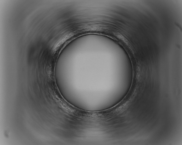 X0000100860922200807111249