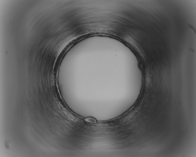 X0000100860924200807111249