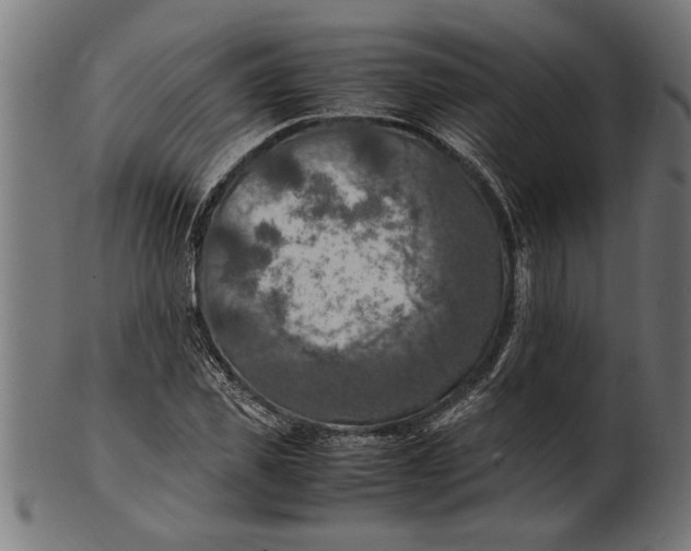 X0000100860925200807111249