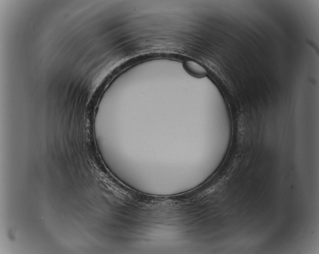 X0000100860926200807111249