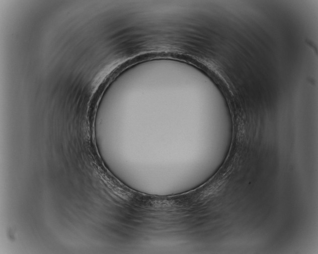 X0000100860927200807111249