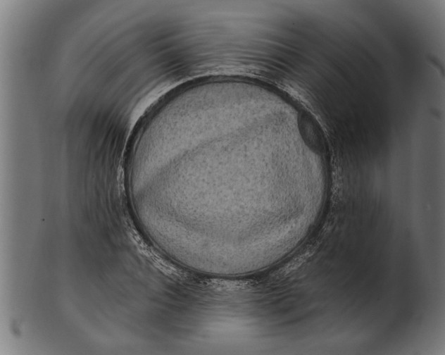 X0000100860928200807111249