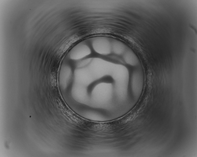 X0000100860929200807111249