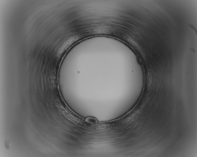 X0000100860930200807111249