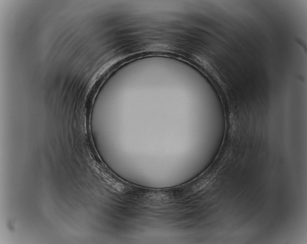 X0000100860931200807111249