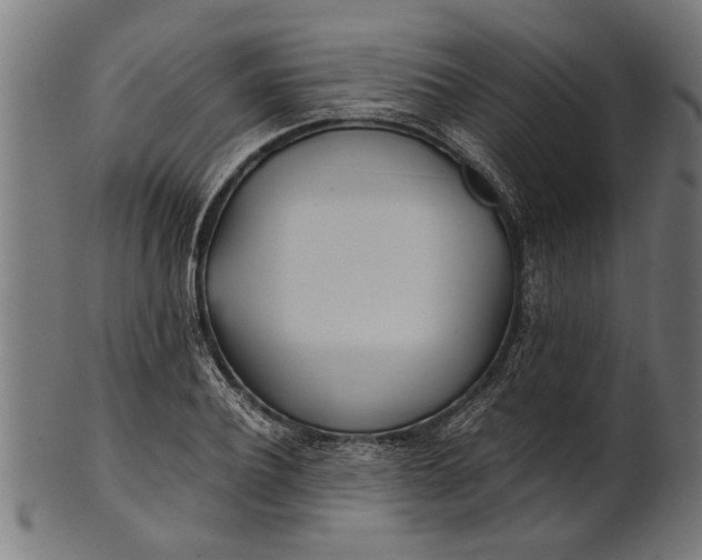 X0000100860932200807111249