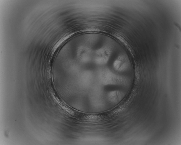 X0000100860933200807111249