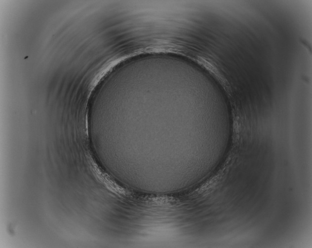 X0000100860934200807111249