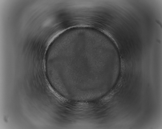 X0000100860935200807111249