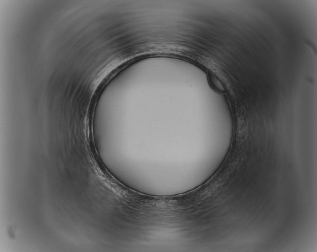 X0000100860936200807111249