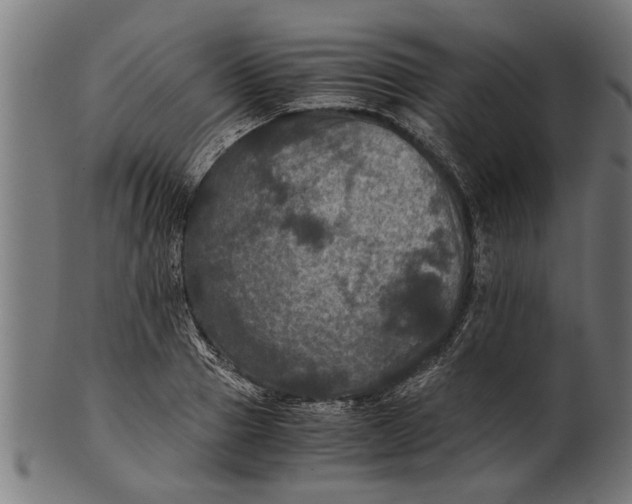 X0000100860937200807111249