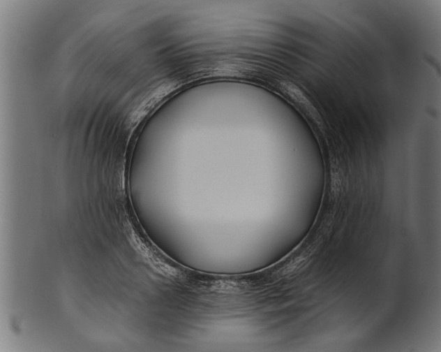 X0000100860938200807111249