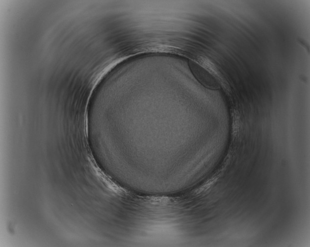 X0000100860940200807111249