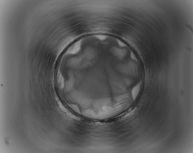 X0000100860941200807111249