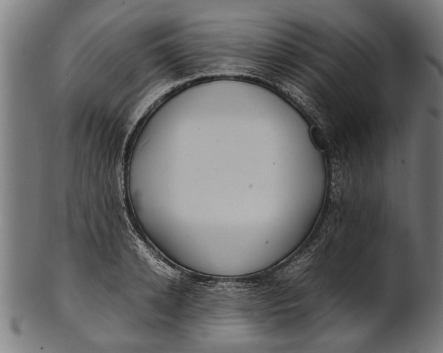 X0000100860942200807111249