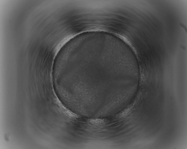 X0000100860943200807111249