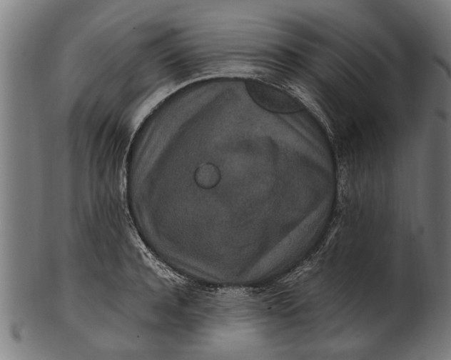 X0000100860944200807111249