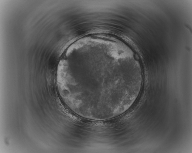 X0000100860945200807111249