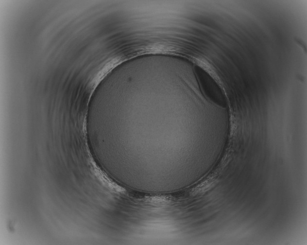 X0000100860946200807111249