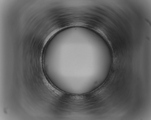 X0000100860947200807111249