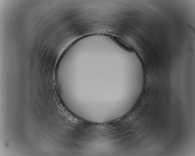 X0000100860948200807111249