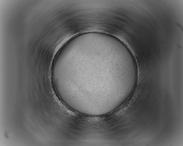 X0000100860949200807111250