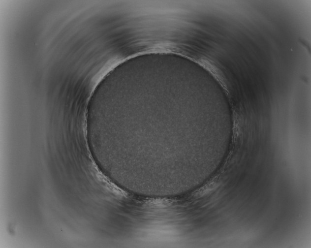 X0000100860950200807111250