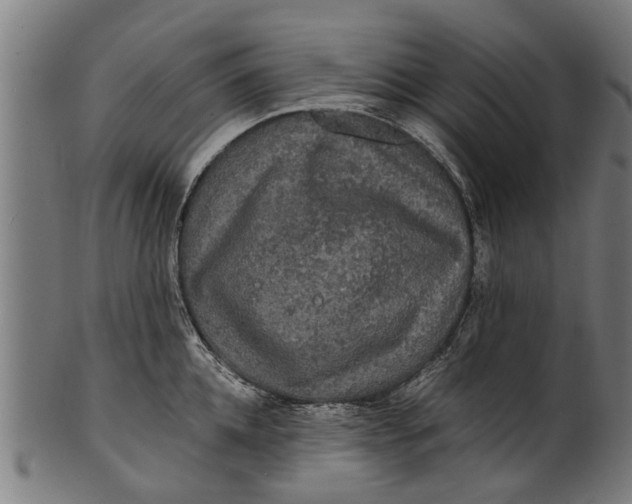 X0000100860952200807111250