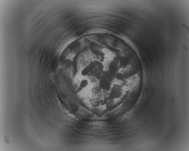 X0000100860953200807111250