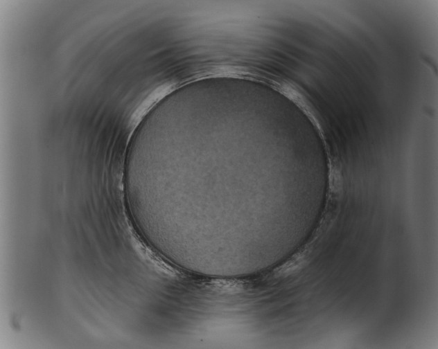 X0000100860954200807111250