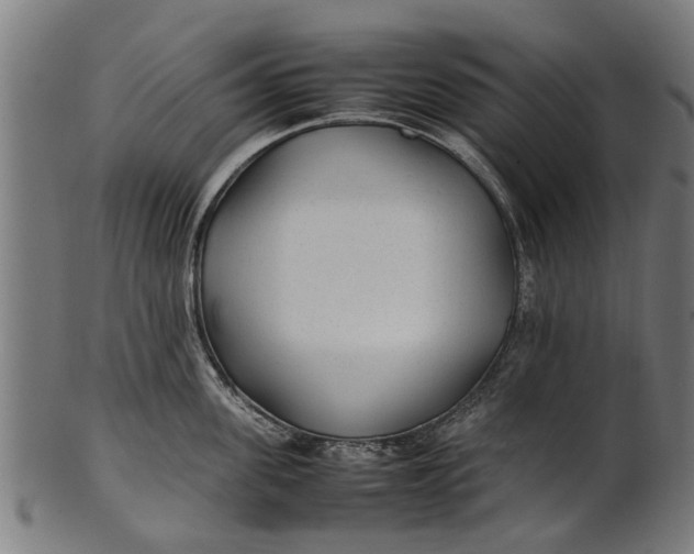 X0000100860955200807111250