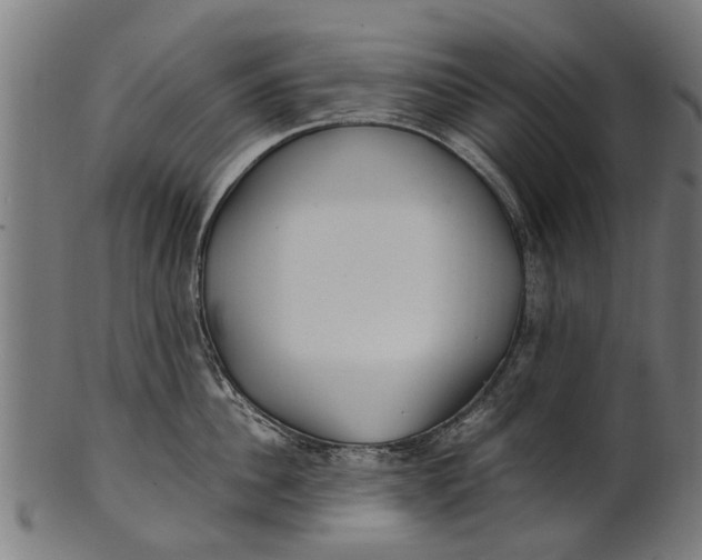 X0000100860956200807111250