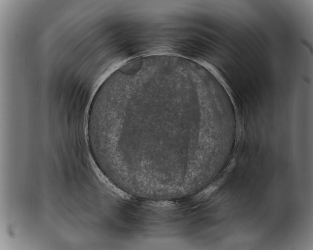 X0000100860957200807111250