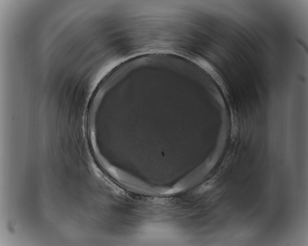 X0000100860958200807111250