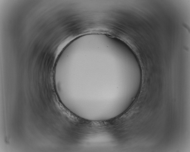 X0000100860960200807111250