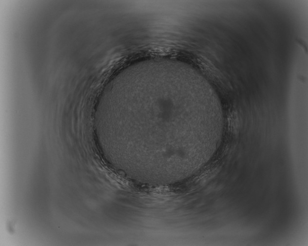 X0000100860961200807111249