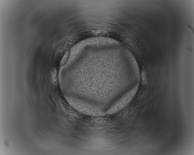 X0000100860963200807111249