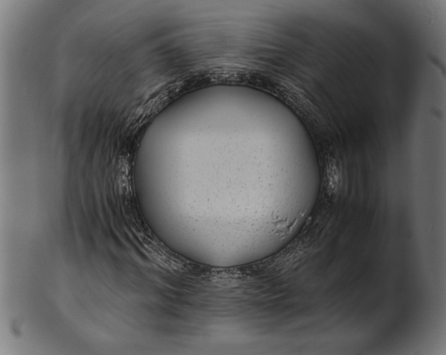 X0000100860964200807111249