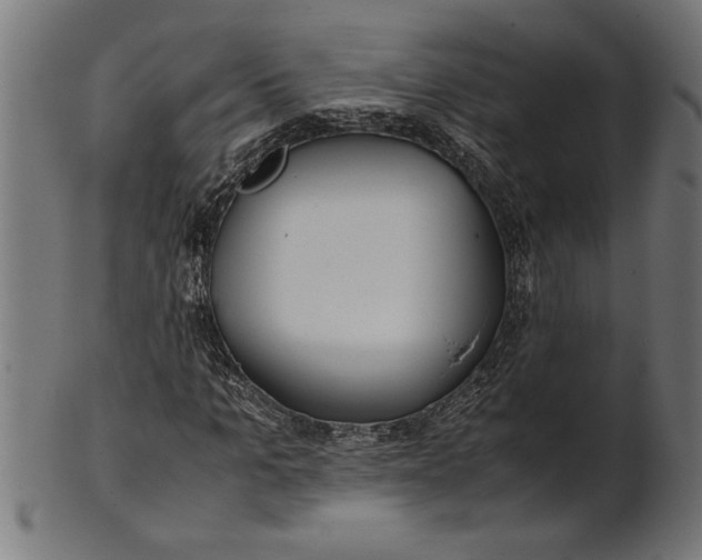 X0000100860965200807111249