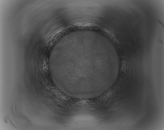 X0000100860966200807111249