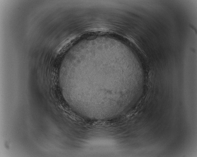 X0000100860967200807111249