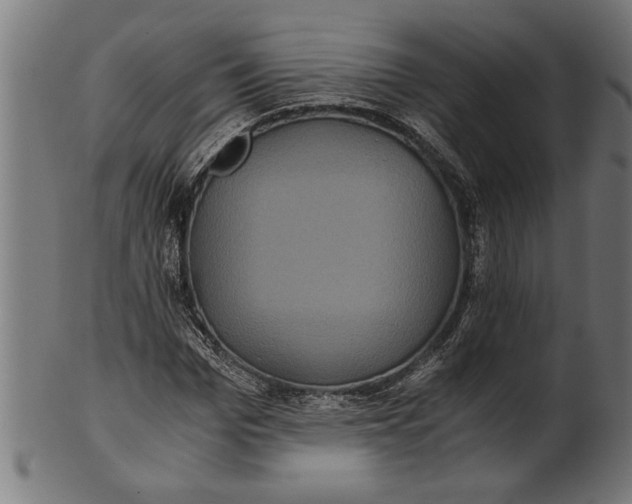 X0000100860969200807111249