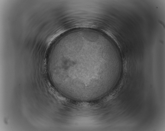 X0000100860971200807111249