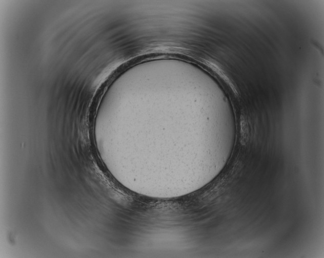 X0000100860972200807111249