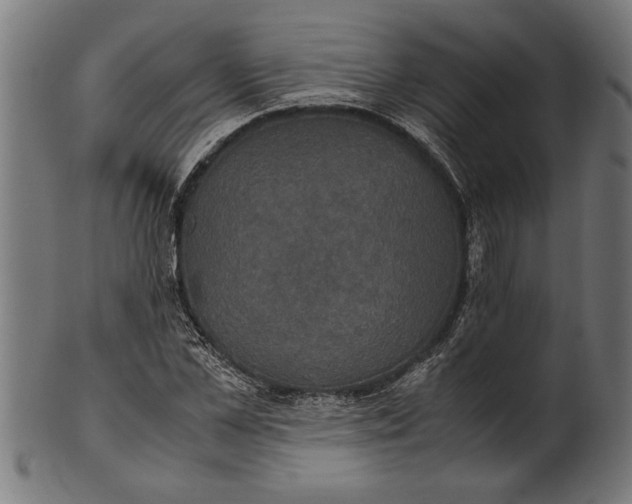 X0000100860973200807111249