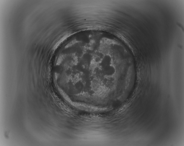 X0000100860975200807111249